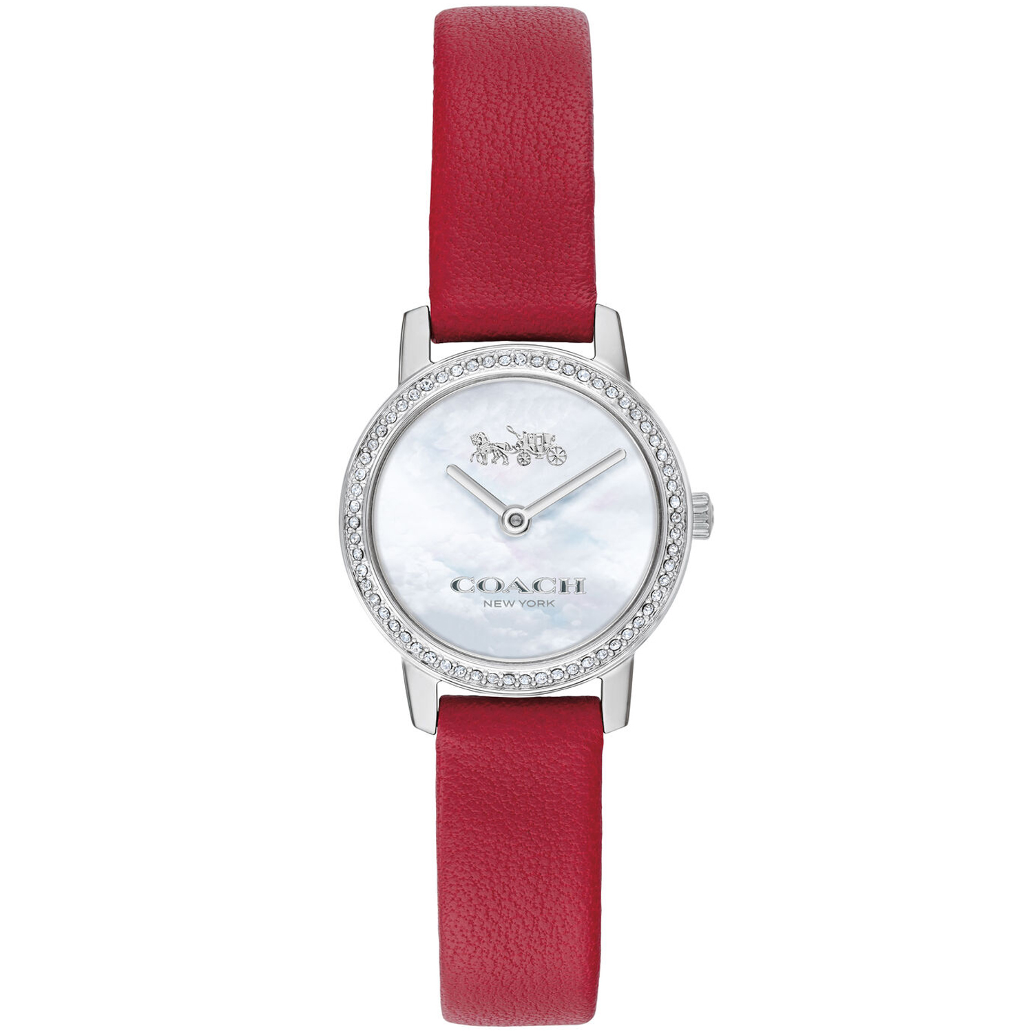 Coach Audrey Ladies Watch 14503362