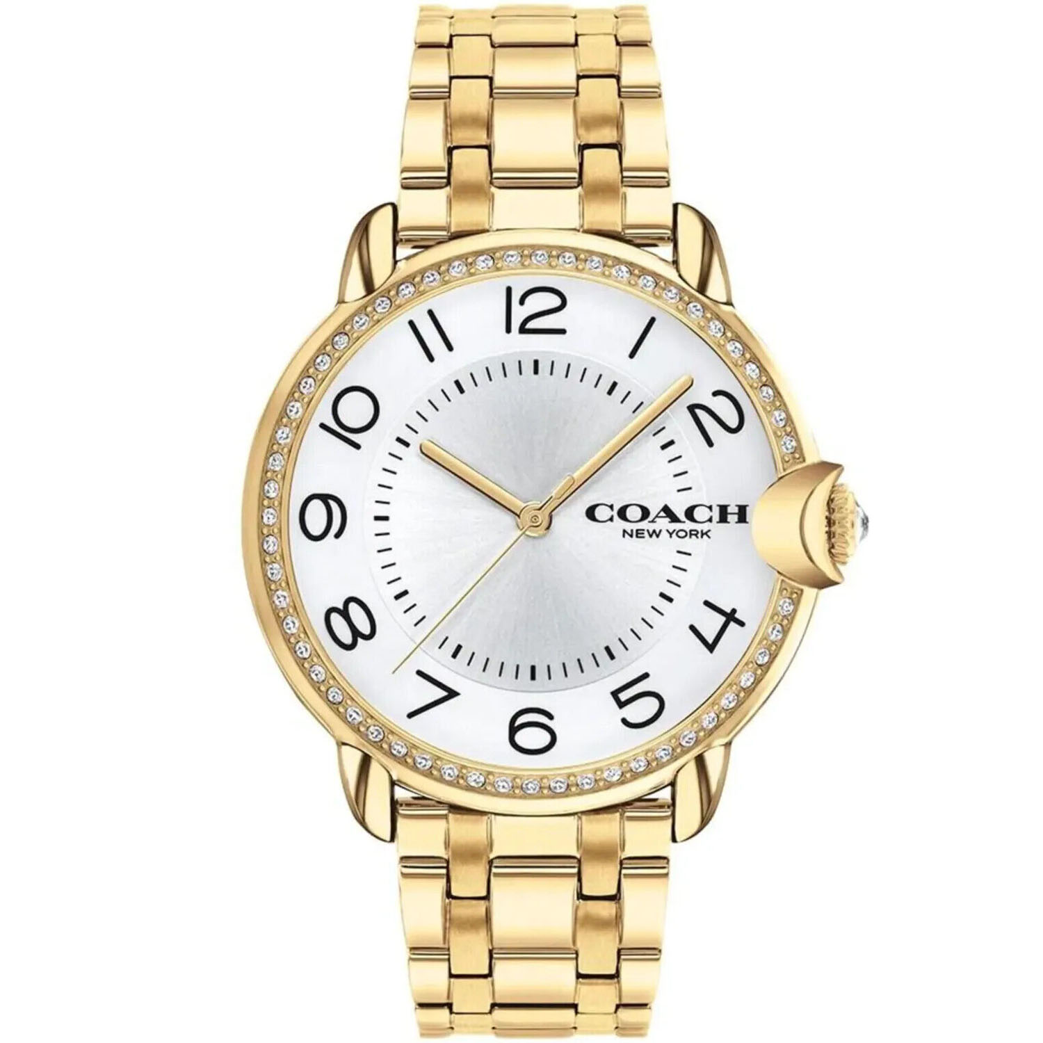 Coach Arden Ladies Watch 14503810