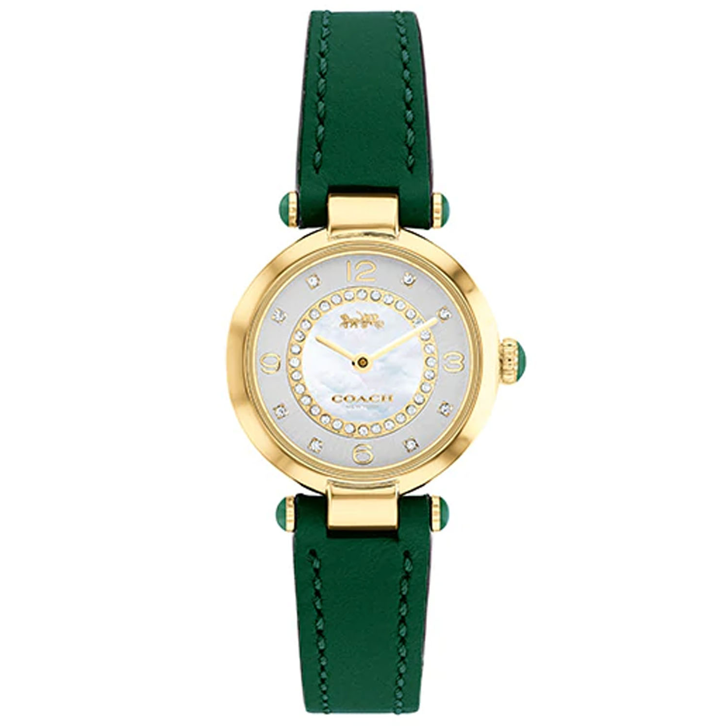 Coach Cary Ladies Watch 14503894