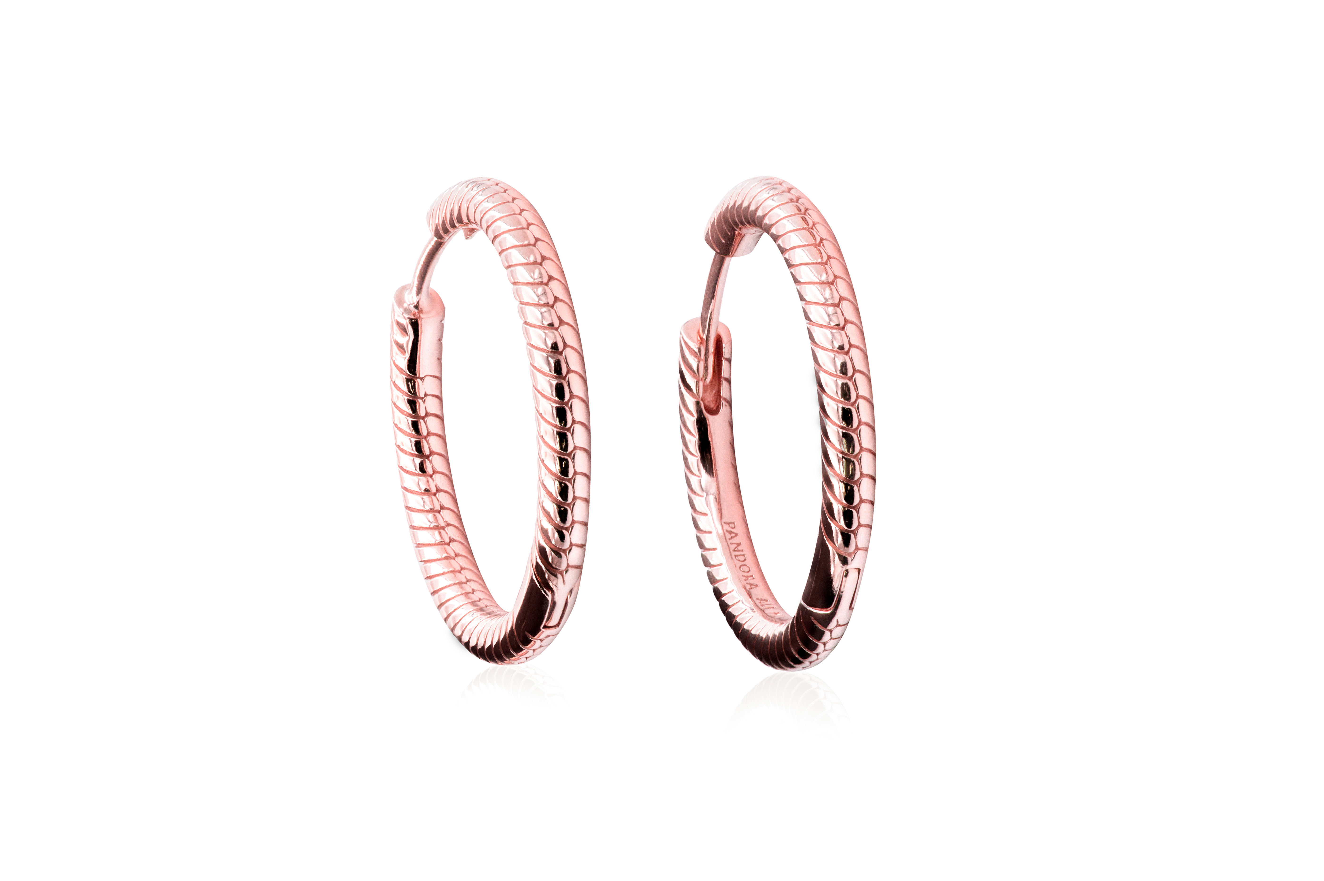 Pandora Moments Charm Hoop Earrings