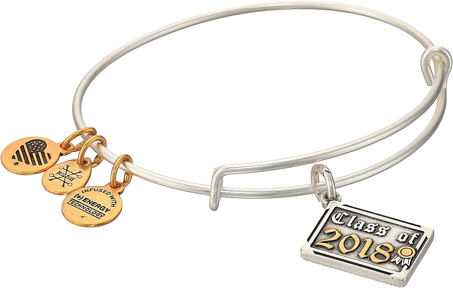 Alex And Ani Class Of 2018 Silver Charm Bangle - A18EB03TTRS