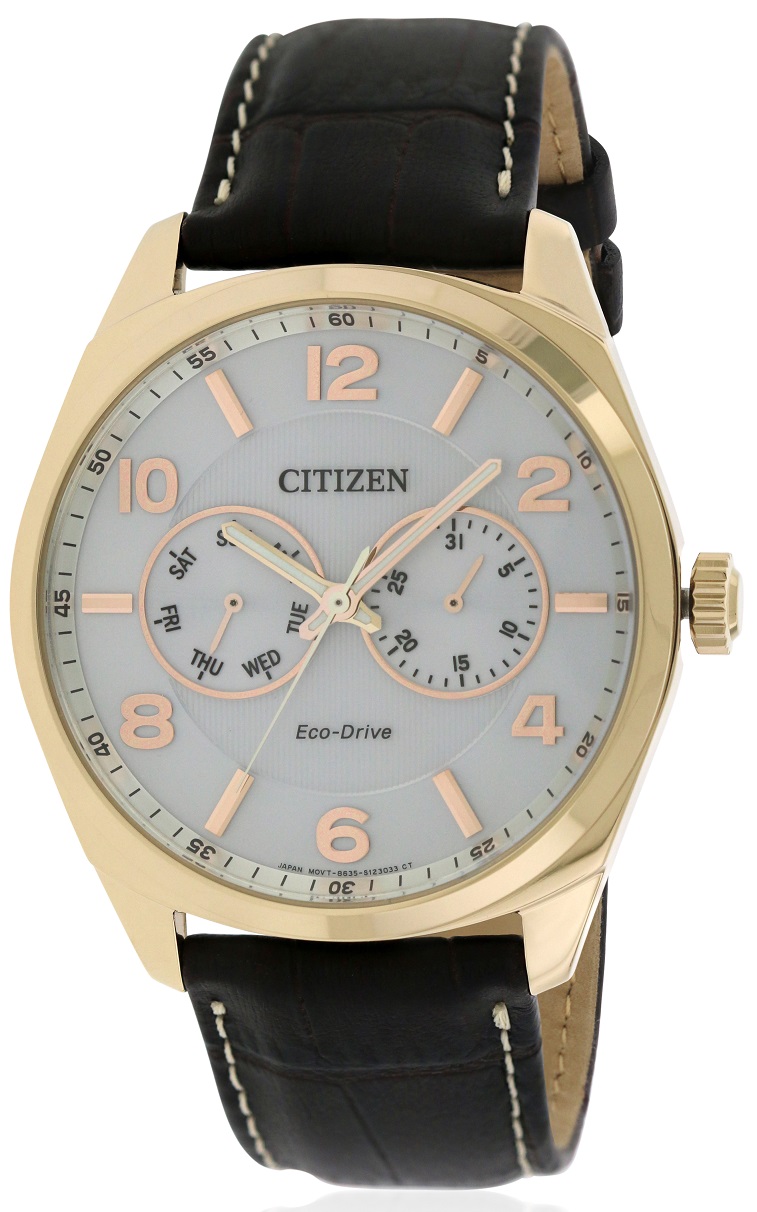 Citizen Eco-Drive Gold-Tone Leather Mens Watch AO9023-01A