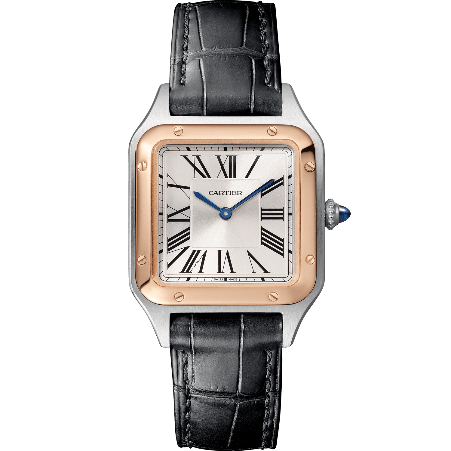 Cartier Santos Ladies Watch W2SA0012