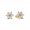 Pandora Sparkling Herbarium Cluster Stud Earrings