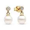 Pandora Treated Freshwater Cultured Pearl & Stone Drop Earrings