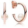 PANDORA Hoop earrings in PANDORA Rose with 2 peg-set white freshwater cultured pearls