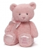 Baby GUND My First Teddy Bear Stuffed Animal Plush - Pink - 15 Inch