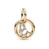Pandora Aquarius Zodiac Dangle Charm