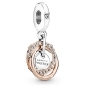 Pandora Family Always Encircled Dangle Charm