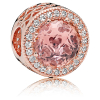 PANDORA Radiant Hearts Charm - 781725NBP