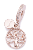 PANDORA Family Heritage Dangle Charm - 781728CZ