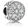 PANDORA Radiant Bloom Charm