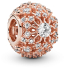 Pandora Inner Radiance Openwork Charm - 781370CZ