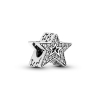 Pandora Sparkling Asymmetric Star Charm
