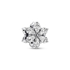 Pandora Sparkling Herbarium Cluster Charm