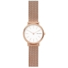 Skagen Ladies Signatur Watch SKW2694