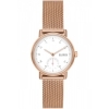 Skagen Ladies Kuppel Lille Watch SKW3099