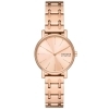 Skagen Ladies Signatur Lille Watch SKW3125