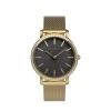 Timex Transcend Celestial Gold-Tone/Black Ladies Watch TW2V52300