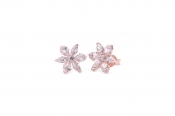 Pandora Sparkling Herbarium Cluster Stud Earrings