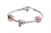 Pandora Moms Love Bracelet Gift Set