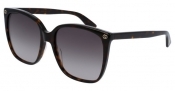 Gucci Womens Square Havana Brown Sunglasses
